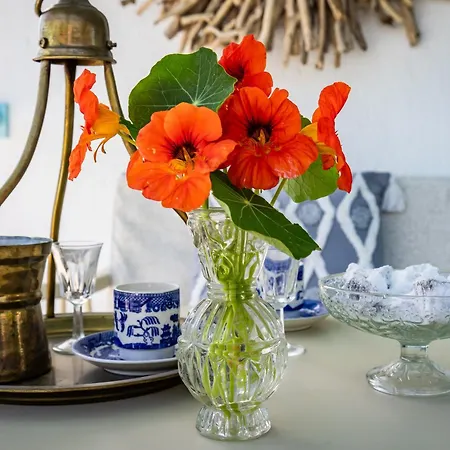 Amaranthos Garden Retreat Vakantiehuis