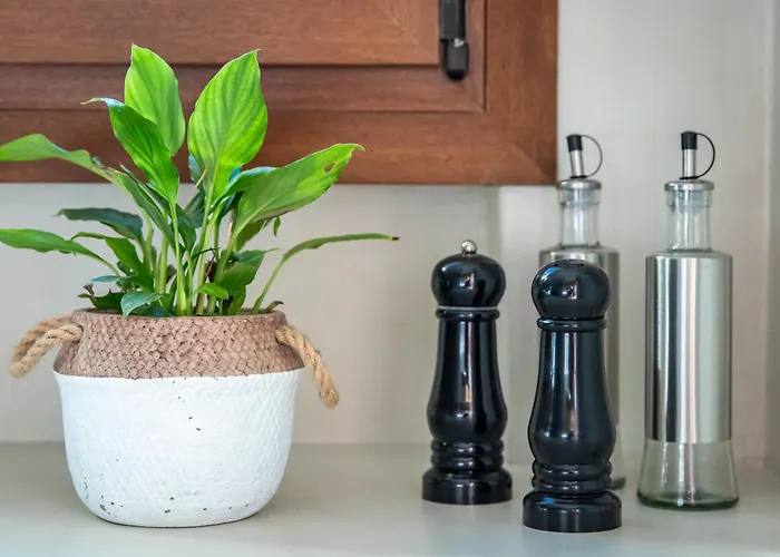 Amaranthos Garden Retreat בית נופש סקופלוס טאון